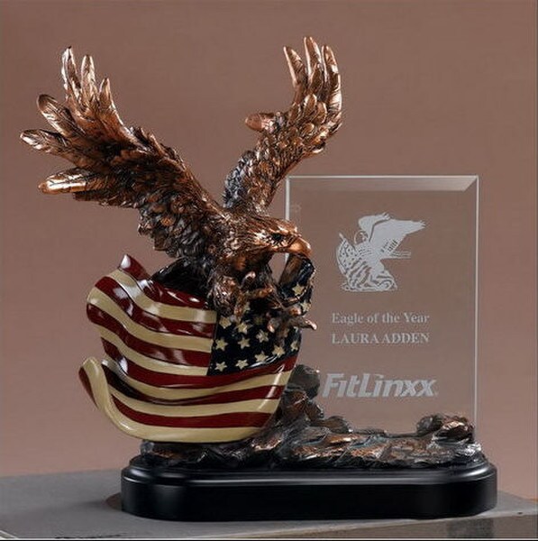 Glass Imprint Eagle Frame with American Flag Sculptural Awards